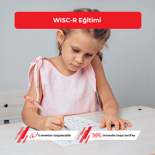 WISC-R Eğitimi 