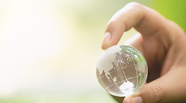 ISO 14001:2015 Çevre Yönetim Sistemi Kursu