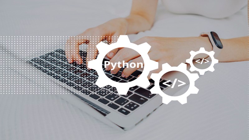 Python Bilen Biri Ne İş Yapar?