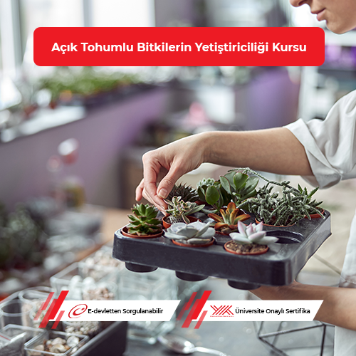 Açık Tohumlu Bitkilerin Yetiştiriciliği  Eğitimi