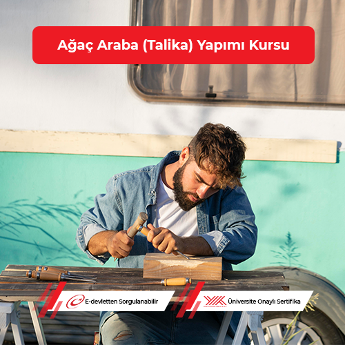 Ağaç Araba (Talika) Yapımı Eğitimi