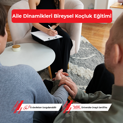 Aile Dinamikleri Bireysel Koçluk Eğitimi