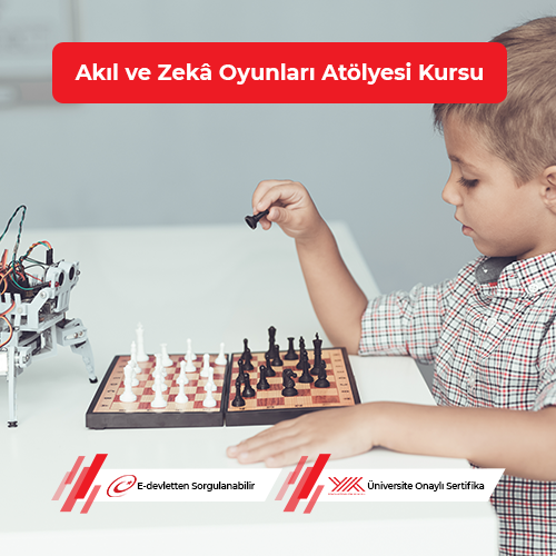 Akıl ve Zekâ Oyunları Atölyesi Eğitimi