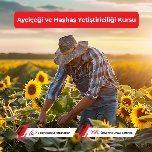 Ayçiçeği ve Haşhaş Yetiştiriciliği Eğitimi