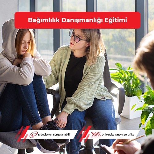 Bağımlılık Danışmanlığı Eğitimi