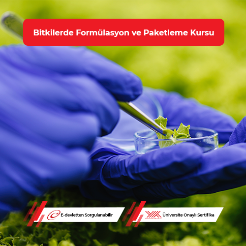Bitki Koruma ve Bitki Besleme Ürünlerinde Formülasyon ve Paketleme Eğitimi