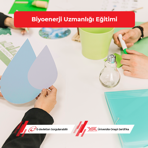 Biyoenerji Uzmanlığı Eğitimi