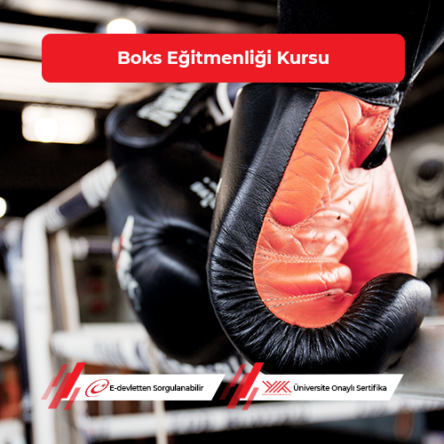 Boks Eğitmenliği Eğitimi