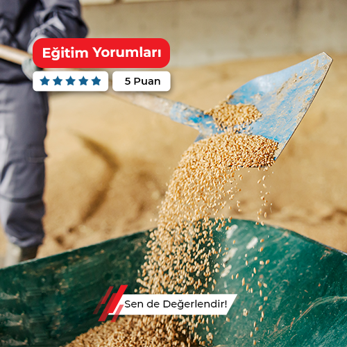 Buğdaygil Yem Bitkileri Yetiştiriciliği Kursu