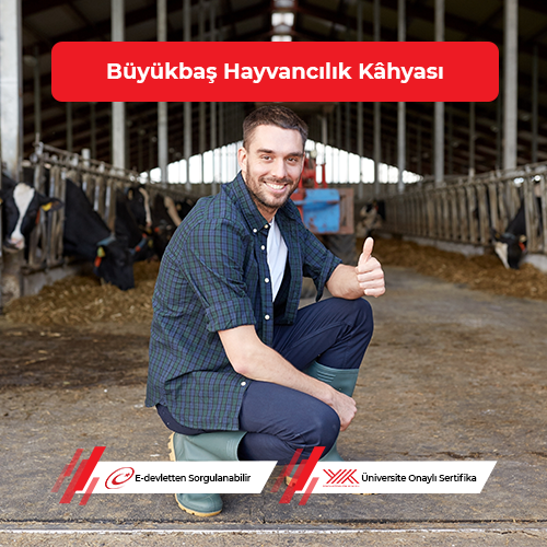 Büyükbaş Hayvancılık Kâhyası Eğitimi