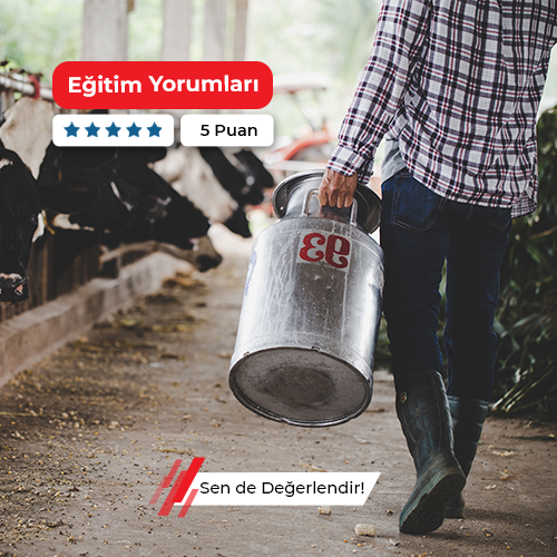 Büyükbaş Hayvancılık Kâhyası Kursu