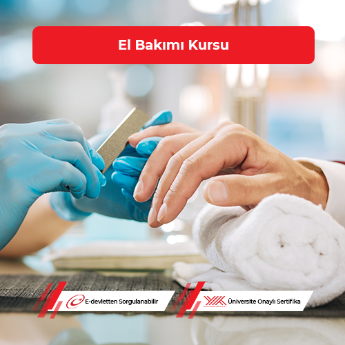 El Bakımı Eğitimi