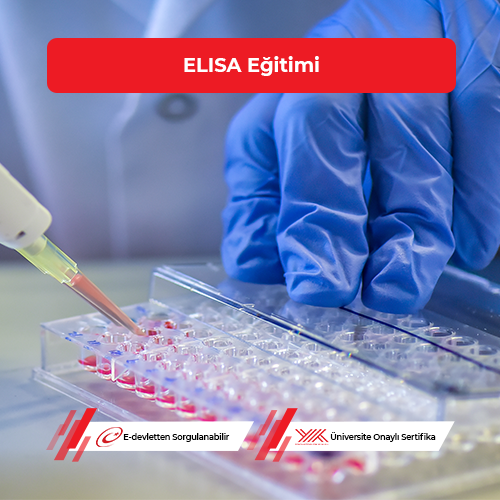 ELISA Eğitimi