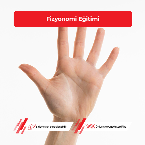 Fizyonomi Eğitimi