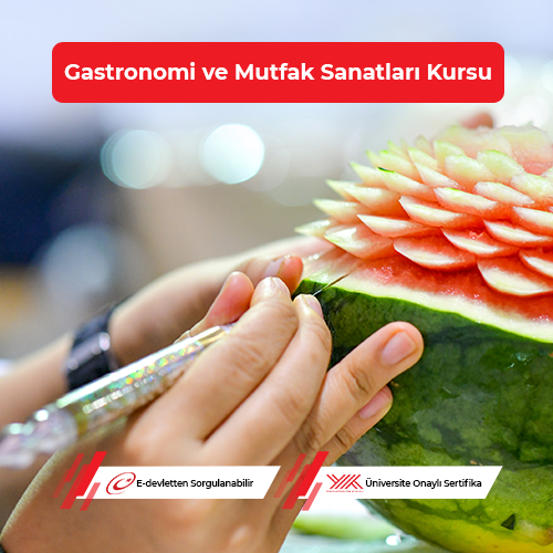 Gastronomi ve Mutfak Sanatları Eğitimi