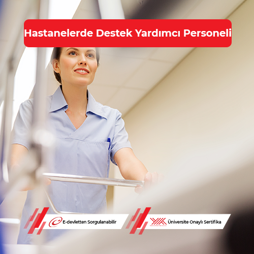 Hastanelerde Destek Yardımcı Personeli Eğitimi