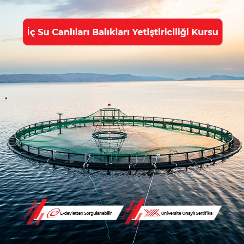 İç Su Canlıları Balıkları Yetiştiriciliği Eğitimi