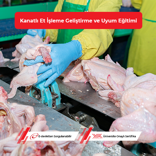 Kanatlı Et İşleme Geliştirme ve Uyum Eğitimi