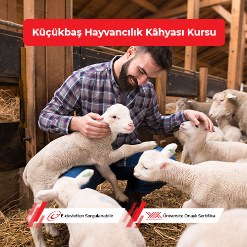 Küçükbaş Hayvancılık Kâhyası Eğitimi