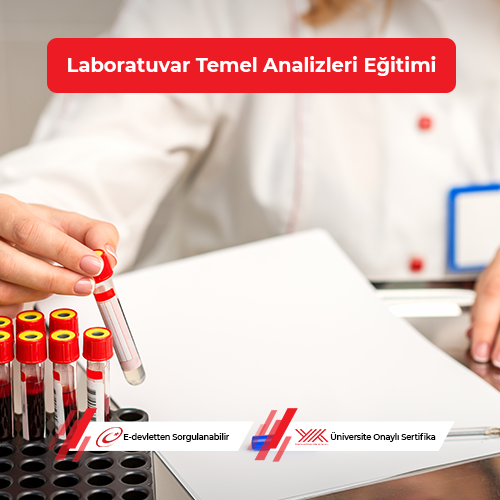 Laboratuvar Temel Analizleri Eğitimi