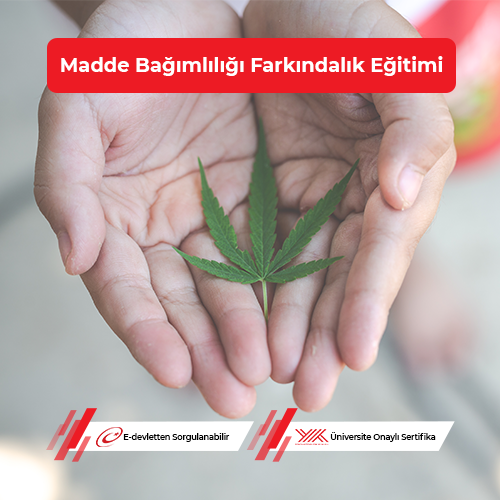 Madde Bağımlılığı Farkındalık Eğitimi