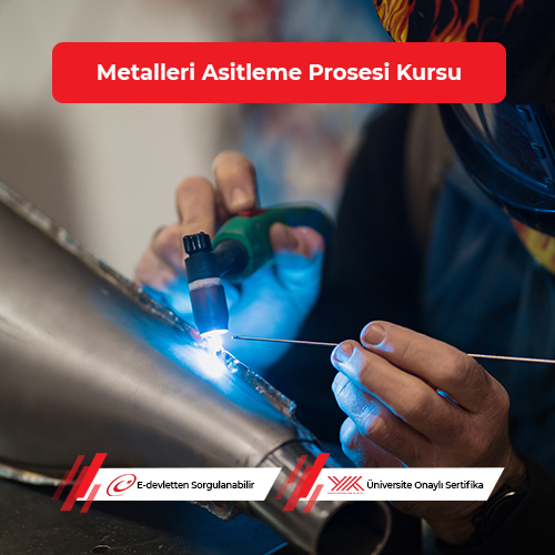 Metalleri Asitleme Prosesi Eğitimi