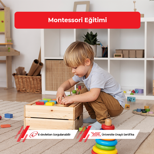 Montessori Eğitimi