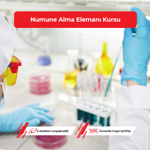 Numune Alma Elemanı Kursu