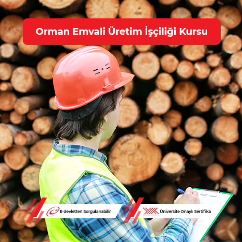 Orman Emvali Üretim İşçiliği Eğitimi