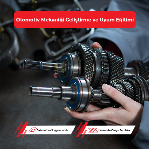 Otomotiv Mekaniği Geliştirme ve Uyum Eğitimi 