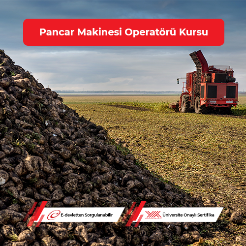 Pancar Makinesi Operatörü Eğitimi