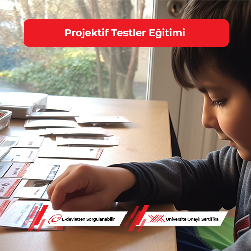 Projektif Testler Eğitimi