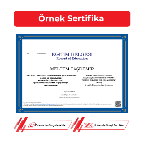 Projektif Testler Sertifikası