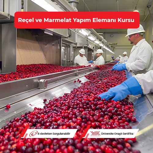 Reçel ve Marmelat Yapım Elemanı Eğitimi