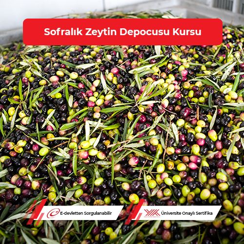 Sofralık Zeytin Depocusu Eğitimi