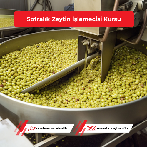 Sofralık Zeytin İşlemecisi Eğitimi