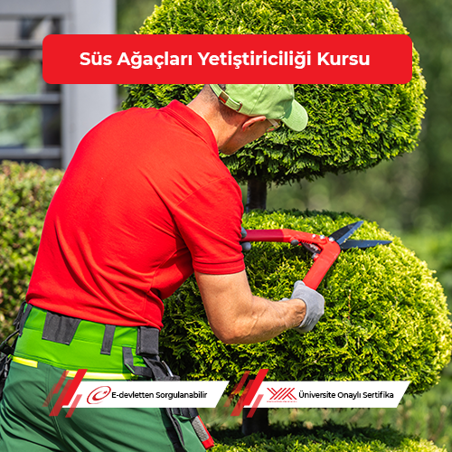 Süs Ağaçları Yetiştiriciliği Eğitimi