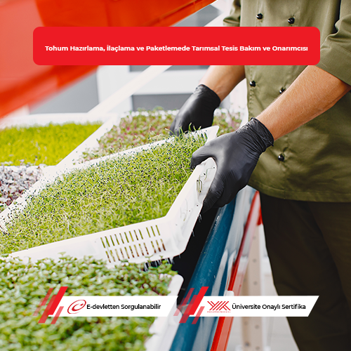 Tohum Hazırlama, İlaçlama ve Paketlemede Tarımsal Tesis Bakım ve Onarımcısı Eğitimi