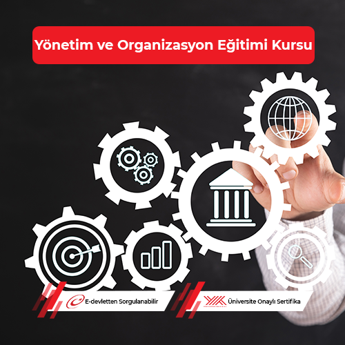 Yönetim ve Organizasyon Eğitimi