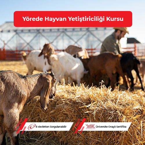 Yörede Hayvan Yetiştiriciliği Eğitimi