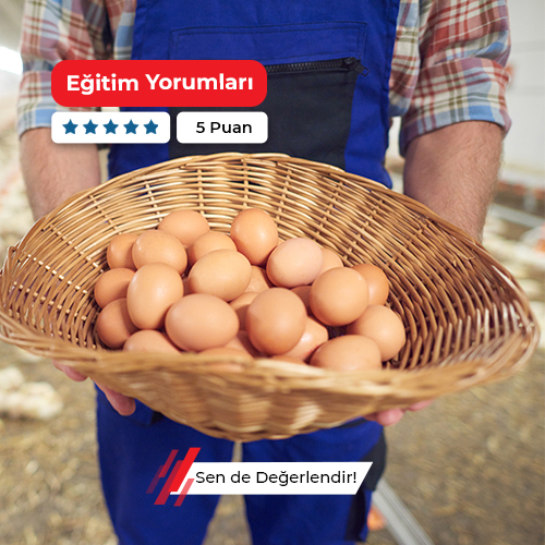 Yüksek Verimli Tavuk Yetiştiriciliği Geliştirme ve Uyum  Kursu
