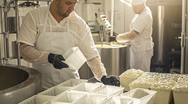 Peynir Üretim Elemanı Kursu